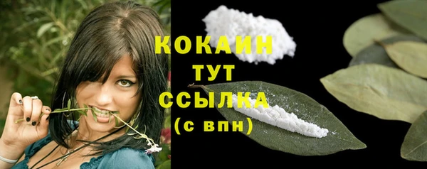 бошки Каменка