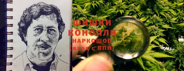 бошки Каменка