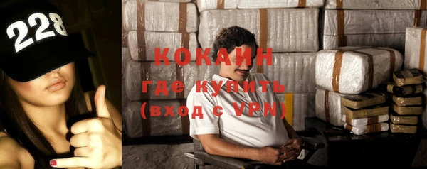 бошки Каменка