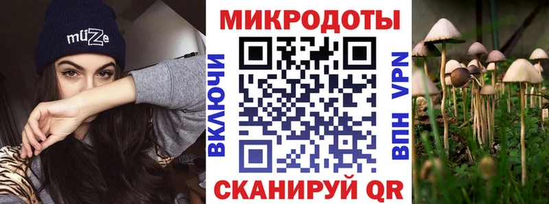 Купить где  Благодарный  Галлюциногенные грибы мицелий 